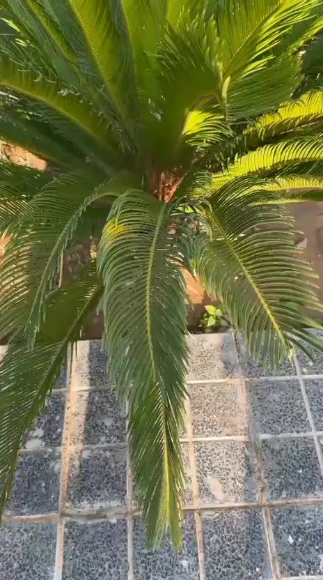 ویلای لوکس داخل بافت در کوشک زر|فروش خانه و ویلا|هشتگرد, شهرک پامچال|دیوار