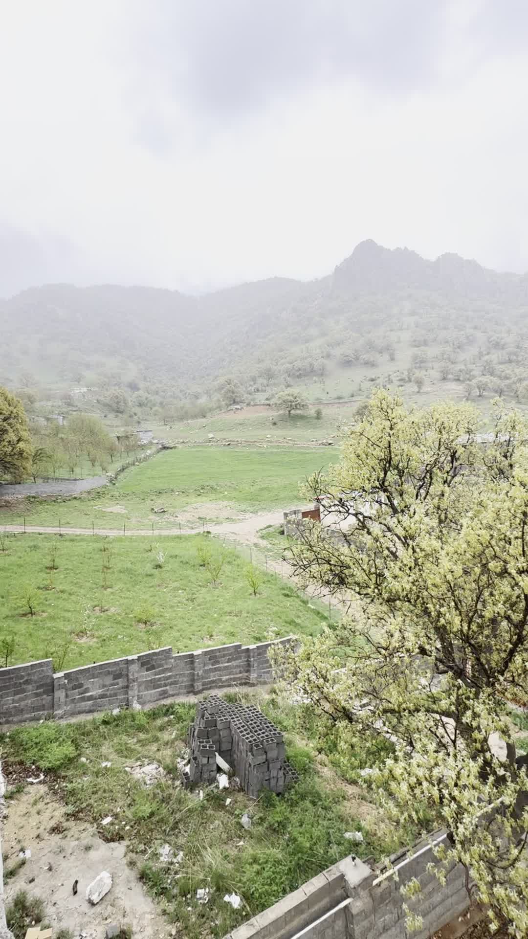 ویلا باغ مبله در بام طبیعت روستای توریستی قلات|اجارهٔ کوتاه‌مدت ویلا و باغ|یاسوج, |دیوار