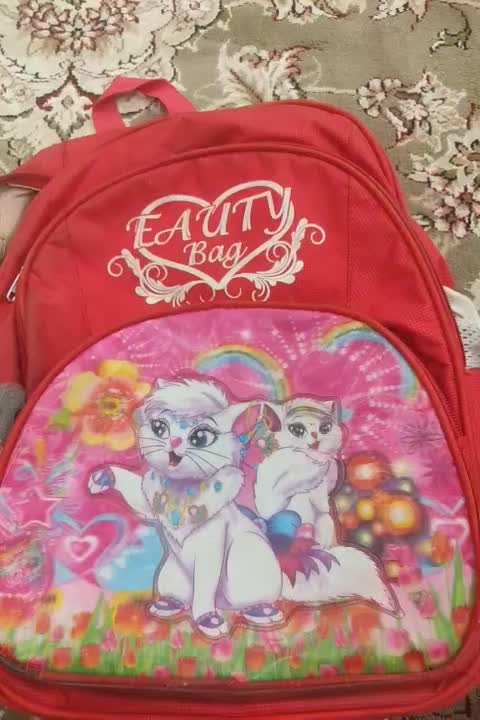 کیف. استفاده شده|کیف، کفش، کمربند|سبزوار, باهنر|دیوار