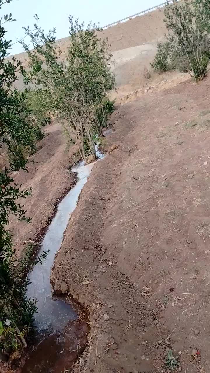 باغ انار بالش آباد|فروش زمین و ملک کلنگی|سبزوار, کراب|دیوار