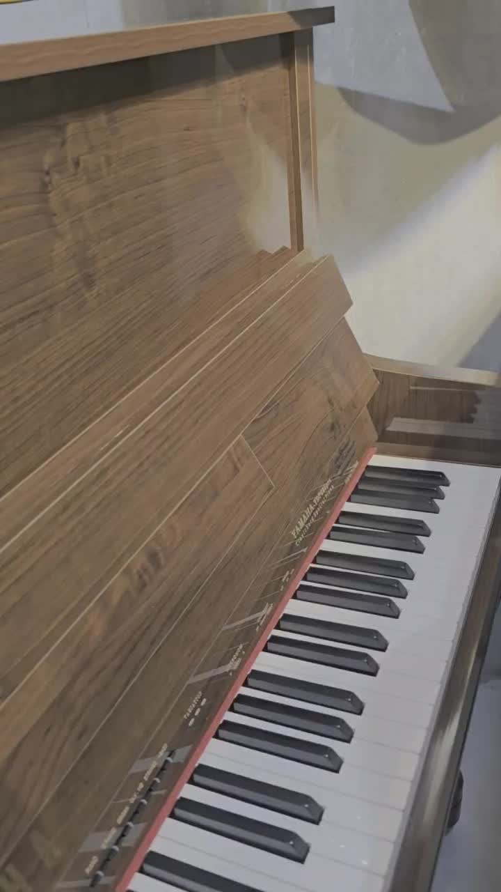 پیانو دیجیتال  کد ۲۲۵ barok|پیانو، کیبورد، آکاردئون|اهواز, زیتون کارمندی|دیوار