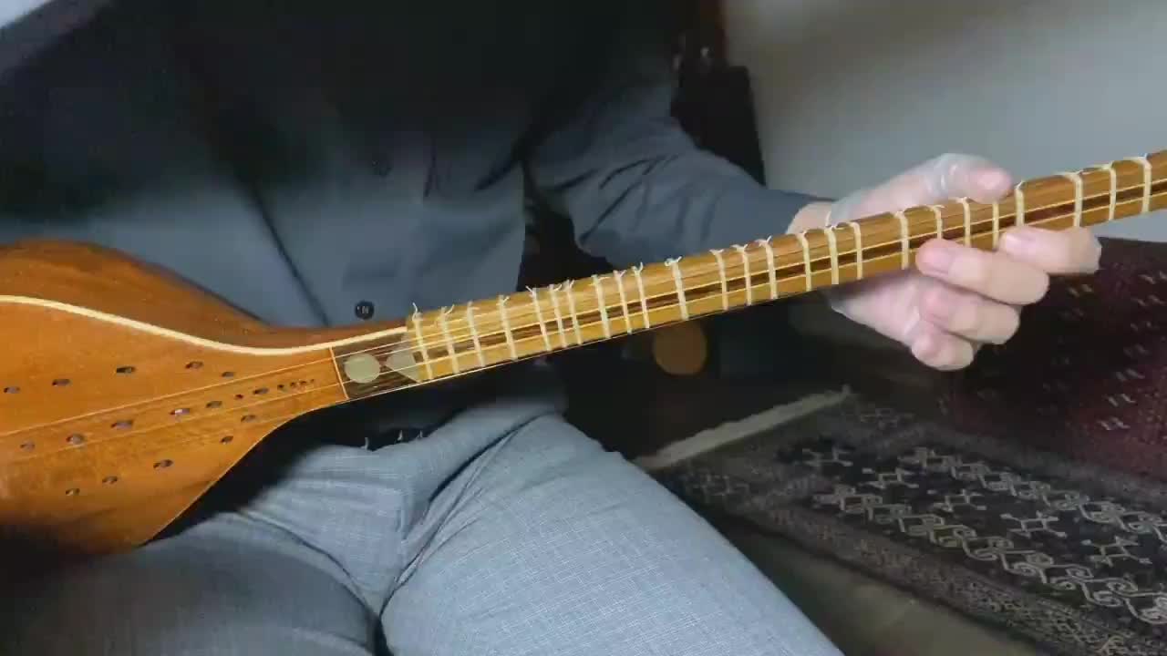 سه تار حرفه ای|سازهای سنتی|همدان, |دیوار