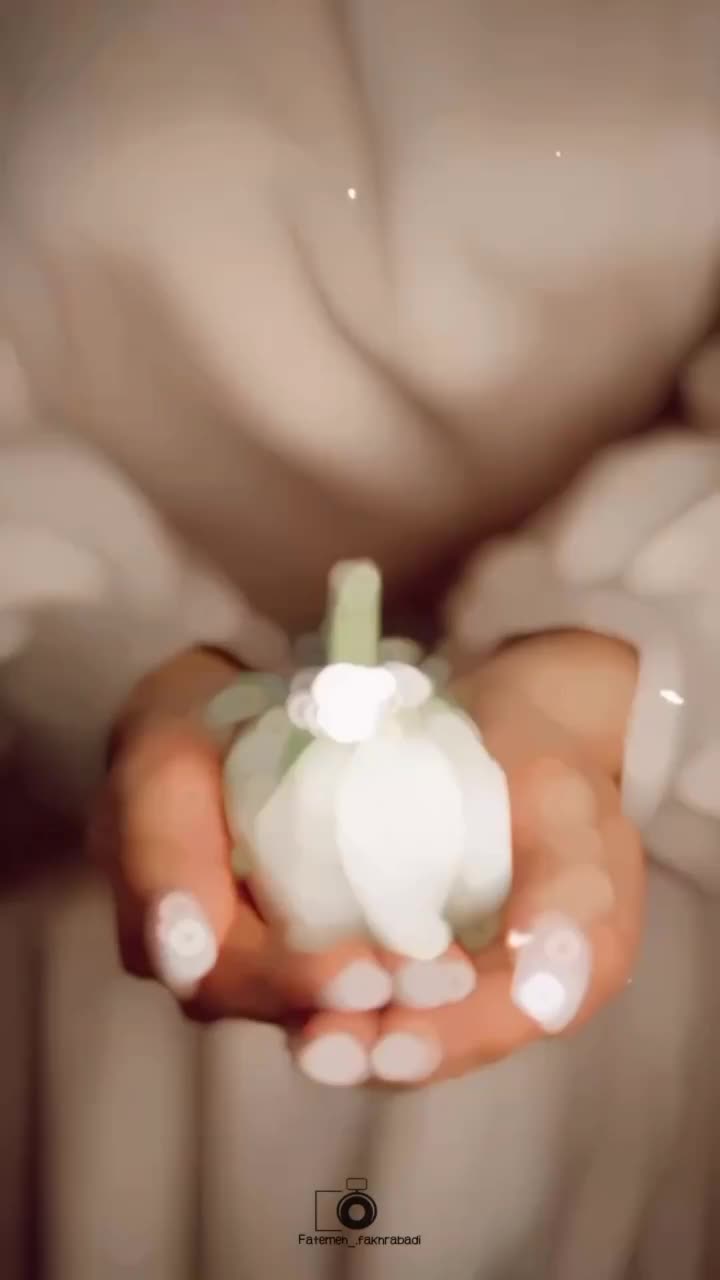 عکاسی و فیلم برداری فضای باز مراسمات|خدمات پذیرایی، مراسم|یزد, |دیوار