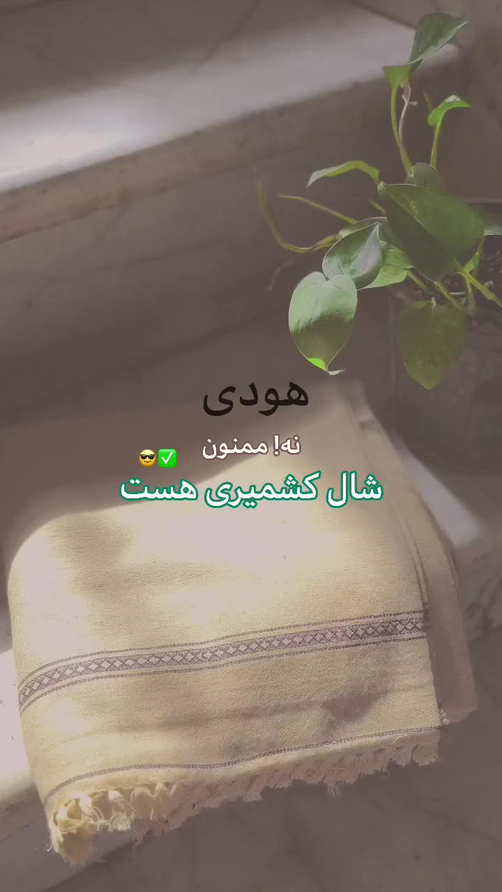 پتوهای کشمیری|رختخواب، بالش، پتو|طسوج, |دیوار