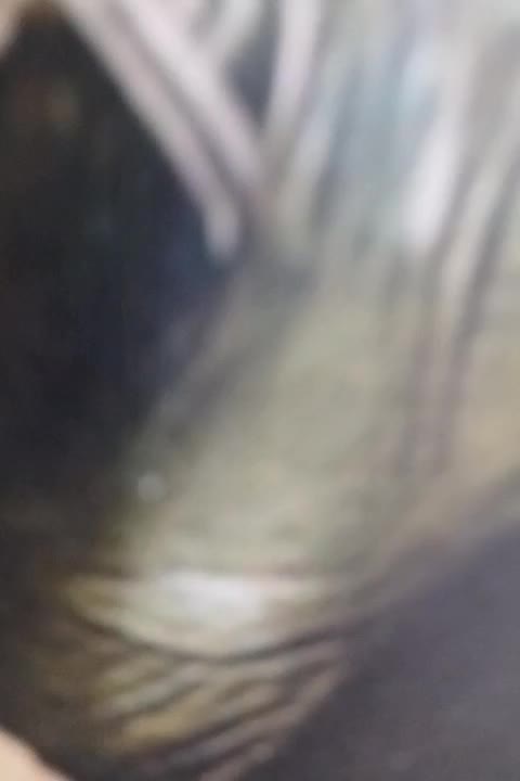 کاخن نو نو|درام و پرکاشن|سنگر, |دیوار