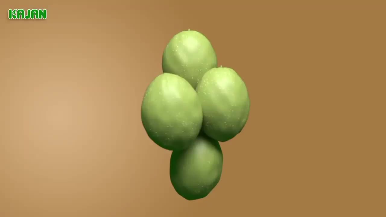 بهترین روغن ها با کیفیت|خوردنی و آشامیدنی|زرین آباد, |دیوار