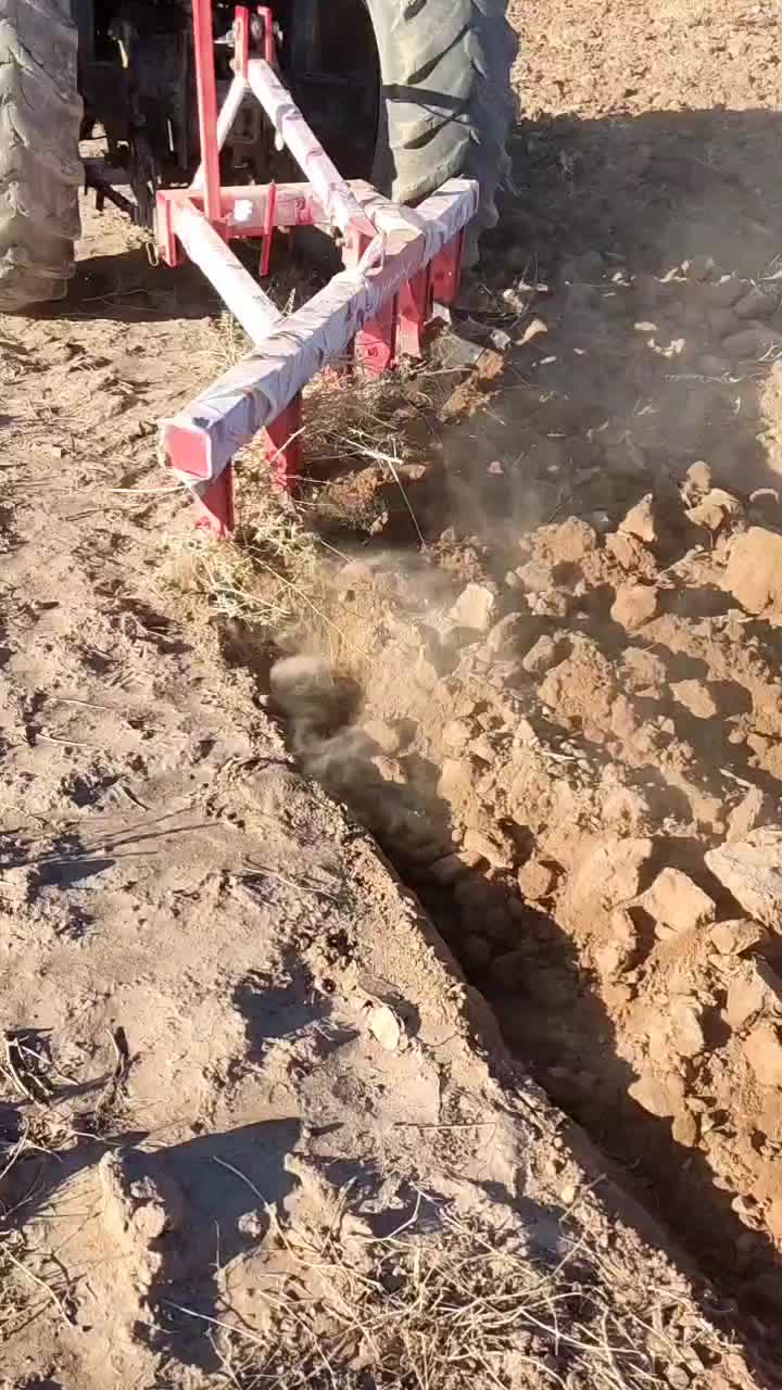 گاواهنطرح همدانی دیمه کاری|قطعات یدکی و لوازم جانبی|چناران, |دیوار