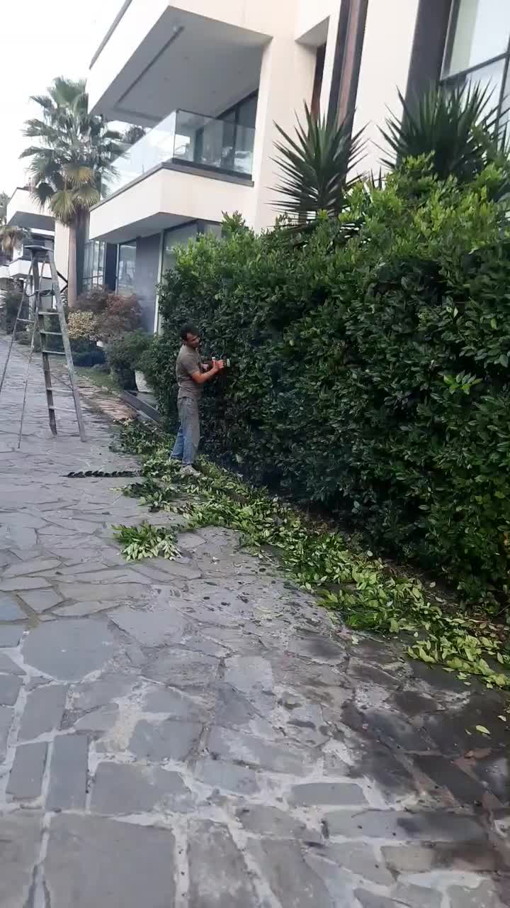 اجرا و طراحی فضای سبز بصورت حرفه ای|خدمات باغبانی و درختکاری|نوشهر, |دیوار