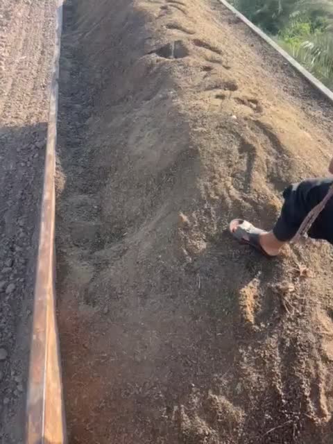 کود گاوداری صنعتی|خدمات باغبانی و درختکاری|جهرم, |دیوار