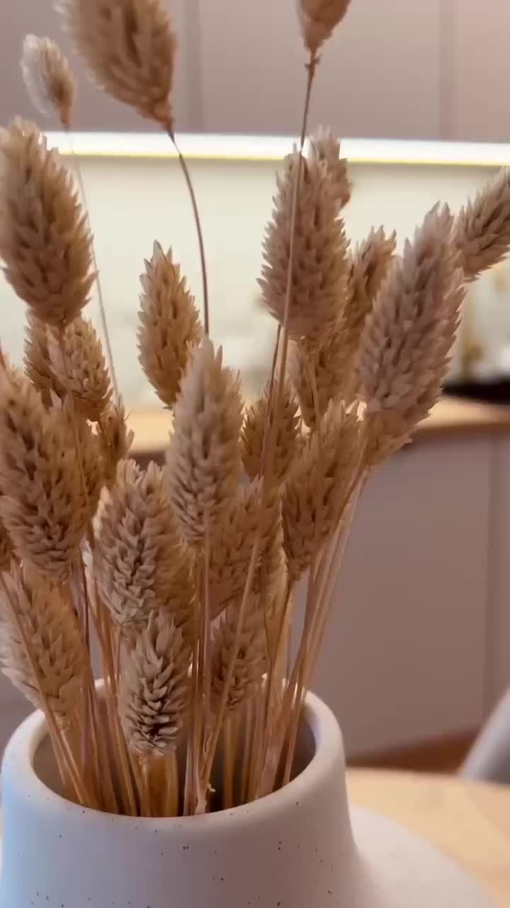 کابینت مدرن|مصالح و تجهیزات ساختمان|بجنورد, |دیوار