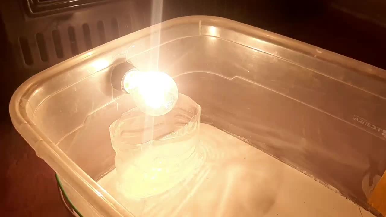 دستگاه جوجه کشی|لوازم جانبی حیوانات|همدان, |دیوار