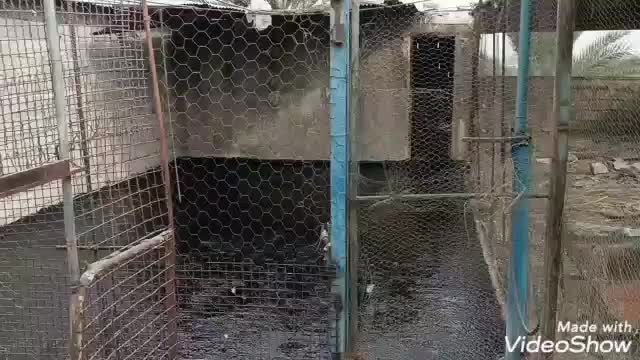 خدمات تخصصی عایقکاری|خدمات پیشه و مهارت|جهرم, |دیوار