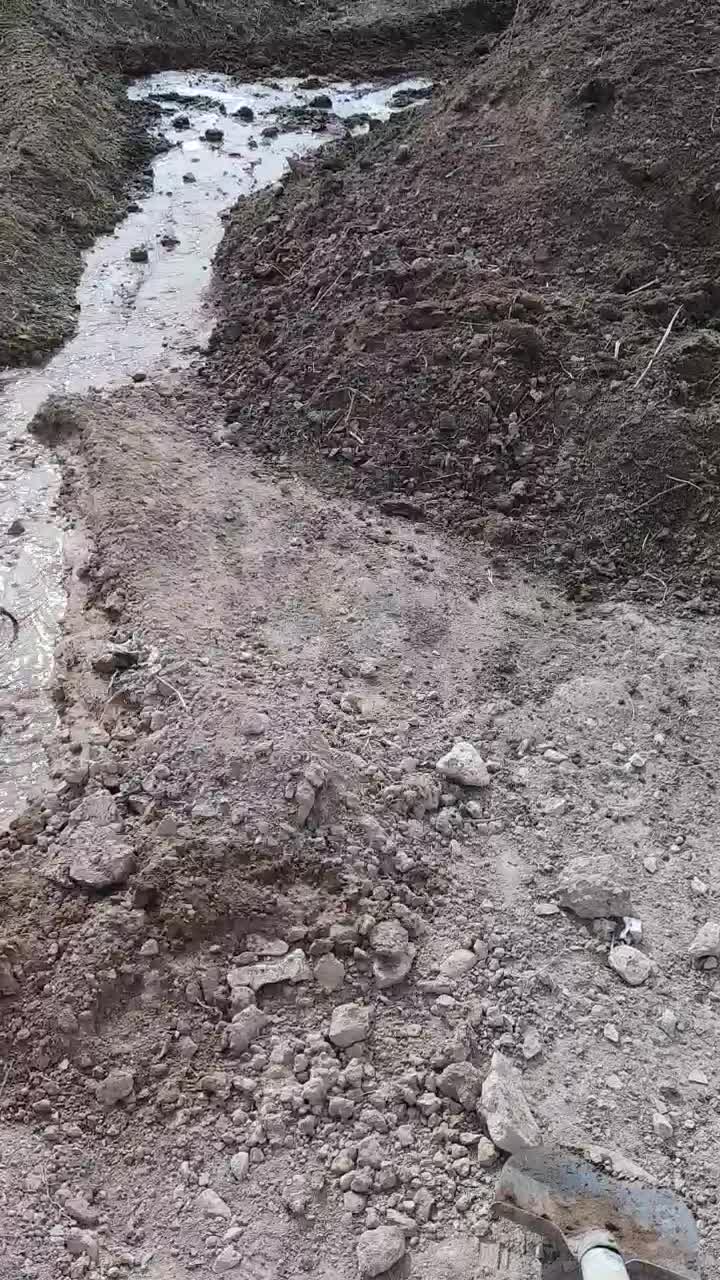 کود حیوانی|خدمات باغبانی و درختکاری|قائن, |دیوار