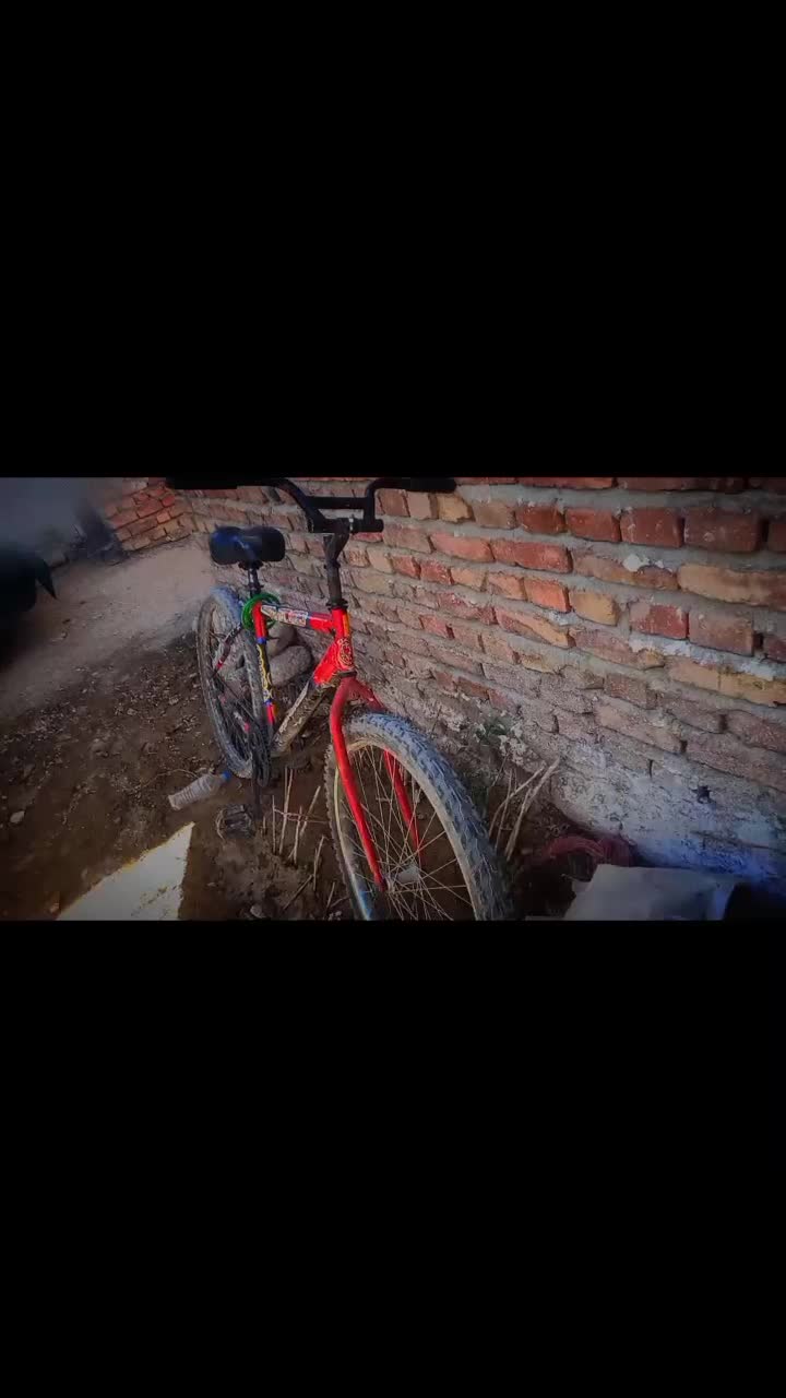 دوچرخه ۲۶|دوچرخه، اسکیت، اسکوتر|خاش, |دیوار