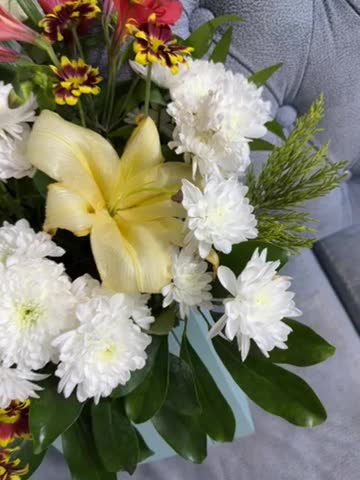 باکس گل|گل و گیاه طبیعی|مشهد, هنرستان|دیوار