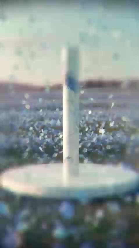 کاغذدیواری فروش و نصب|خدمات پیشه و مهارت|صدرا-فارس, فاز ۱|دیوار