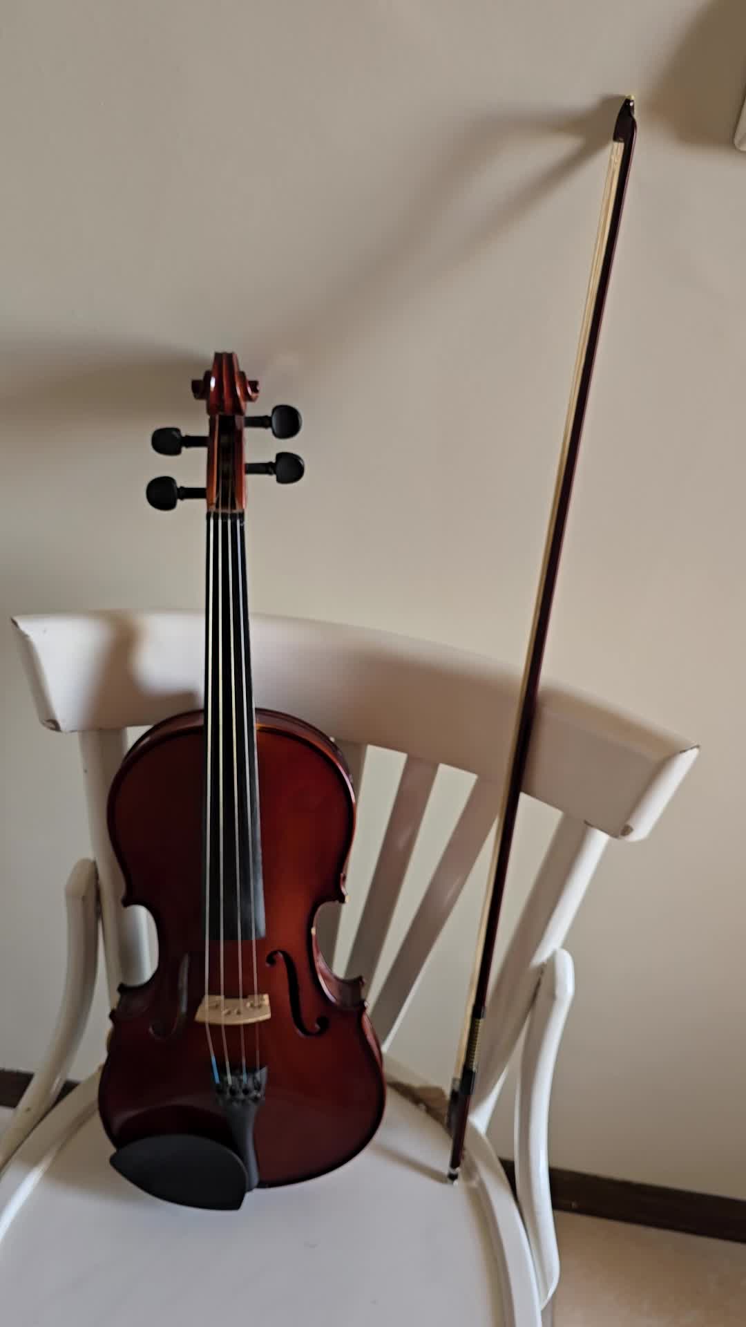 ویولن Locto|ویولن|تهران, سازمان برنامه شمالی|دیوار