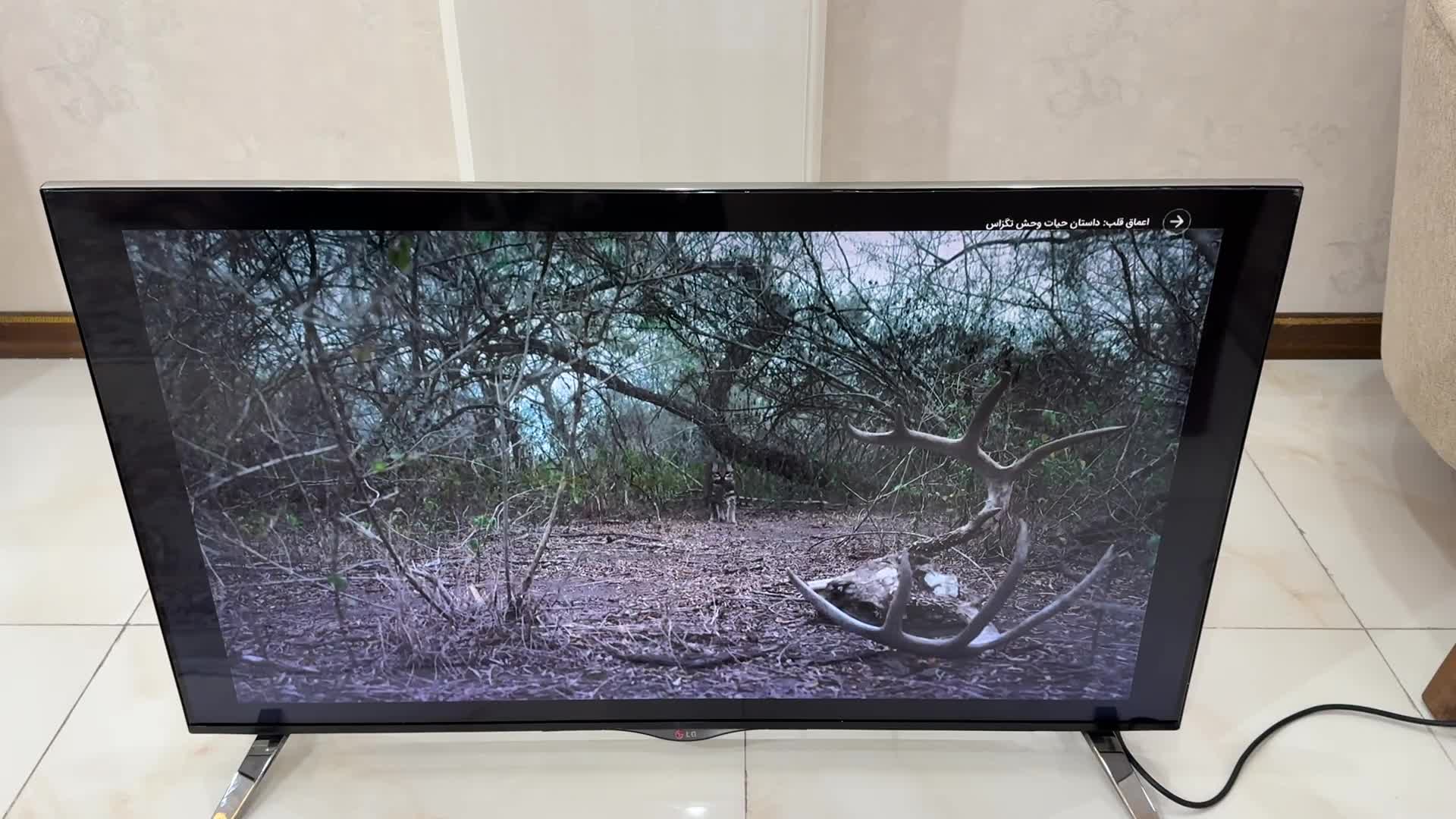 تلویزیون ال جی|تلویزیون و پروژکتور|پرند, فاز ۰|دیوار