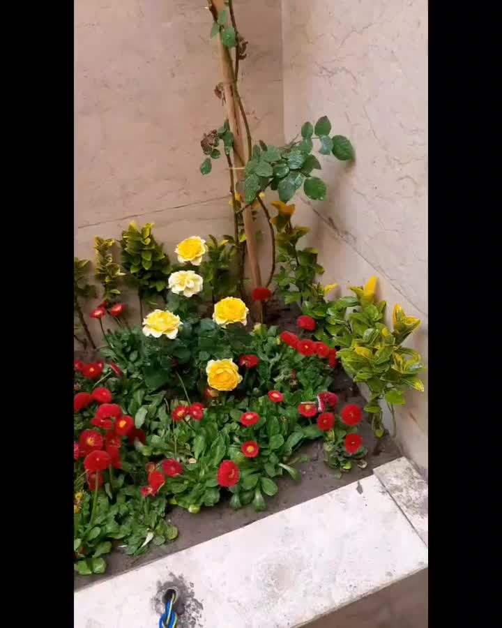 اجاره باغ ویلا توس۸۱|اجارهٔ کوتاه‌مدت ویلا و باغ|مشهد, توس (بلوار توس)|دیوار