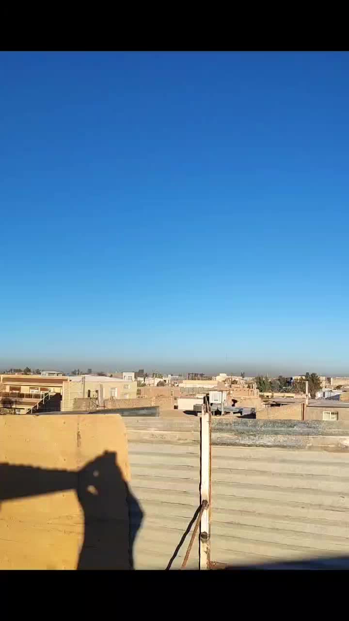 کبوتر پلنگ.انگل.پاکسازی|پرنده|رفسنجان, |دیوار