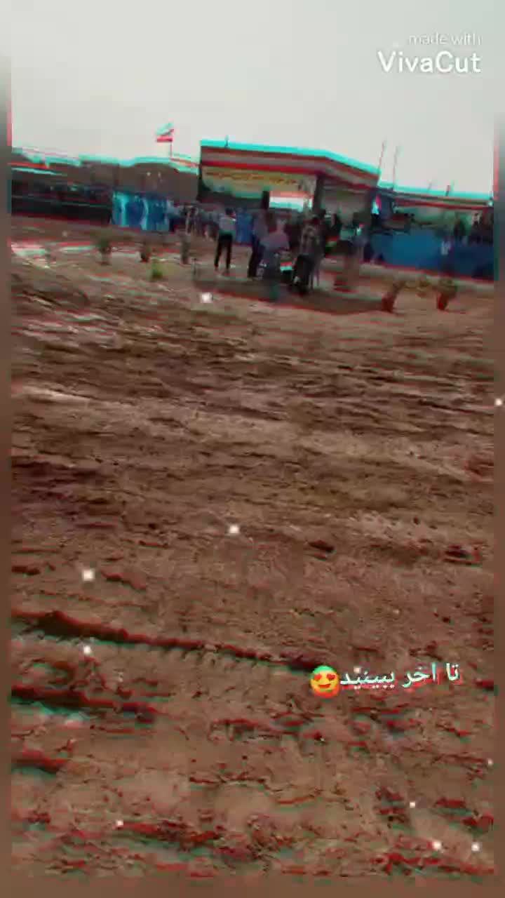 اسب مادیون آبستن|اسب و تجهیزات اسبسواری|رفسنجان, |دیوار