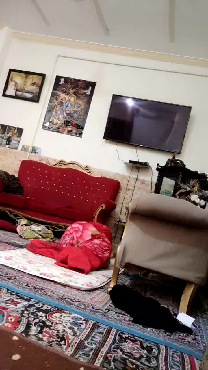 اجر وسفال و سیمان|مصالح و تجهیزات ساختمان|بندر گناوه, |دیوار