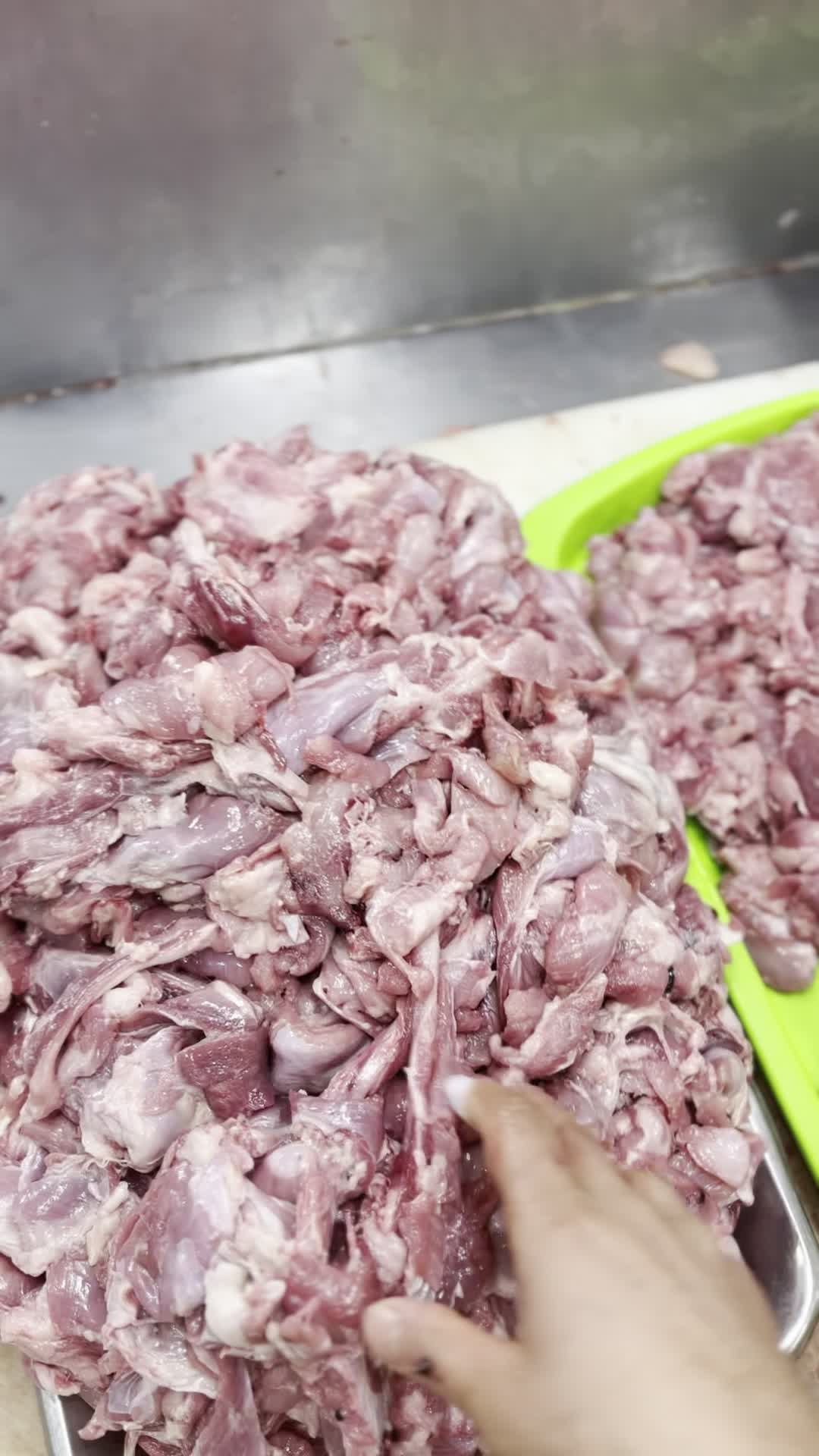 بچه فیله بوقلمون خرده گوشت بوقلمون|خوردنی و آشامیدنی|تهران, چیتگر جنوبی|دیوار