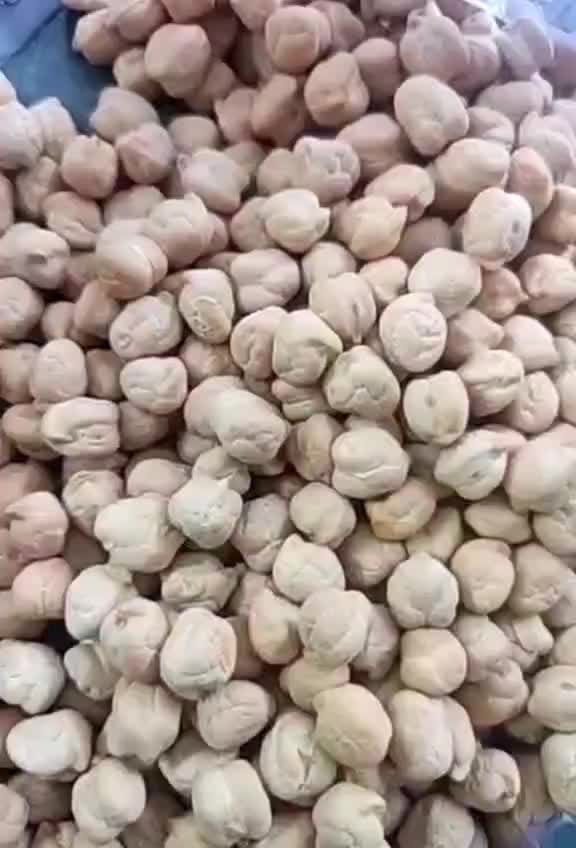 ۲۰۰کیلو نخود تمیز درجه یک|خوردنی و آشامیدنی|ری, سیزده آبان|دیوار