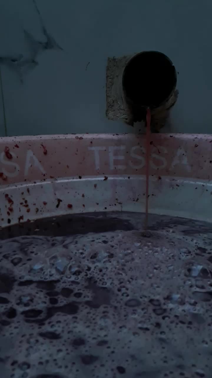 رب انار جمکرون|خوردنی و آشامیدنی|قم, جمکران|دیوار