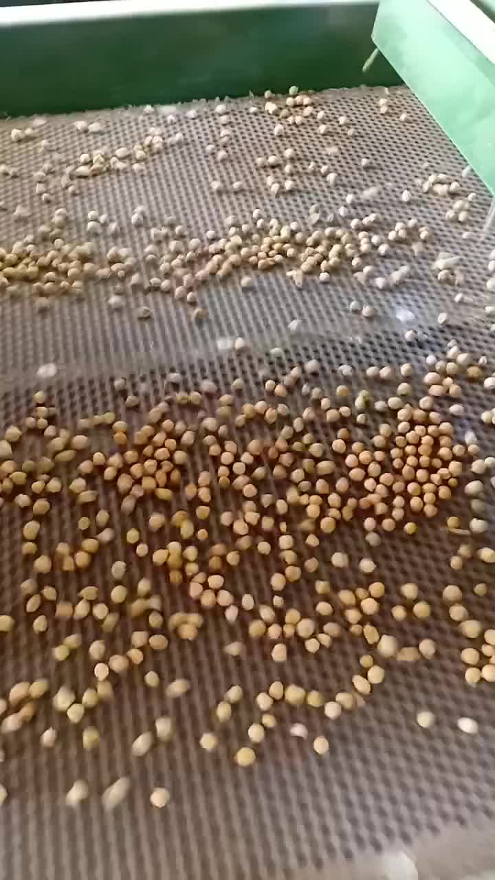 نخود|خوردنی و آشامیدنی|بجنورد, |دیوار