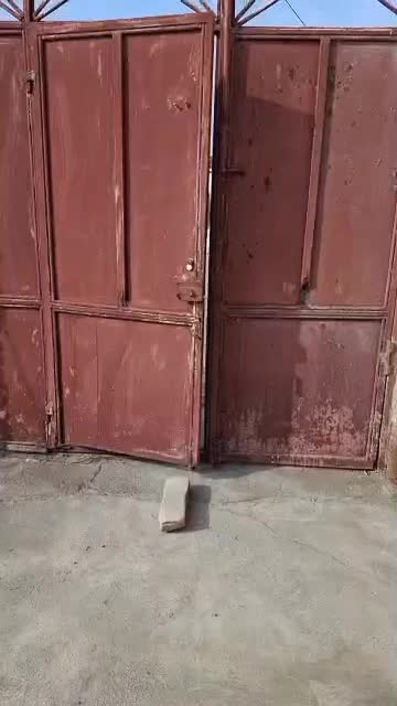 فروش ساختمان|فروش خانه و ویلا|محمدبار, |دیوار