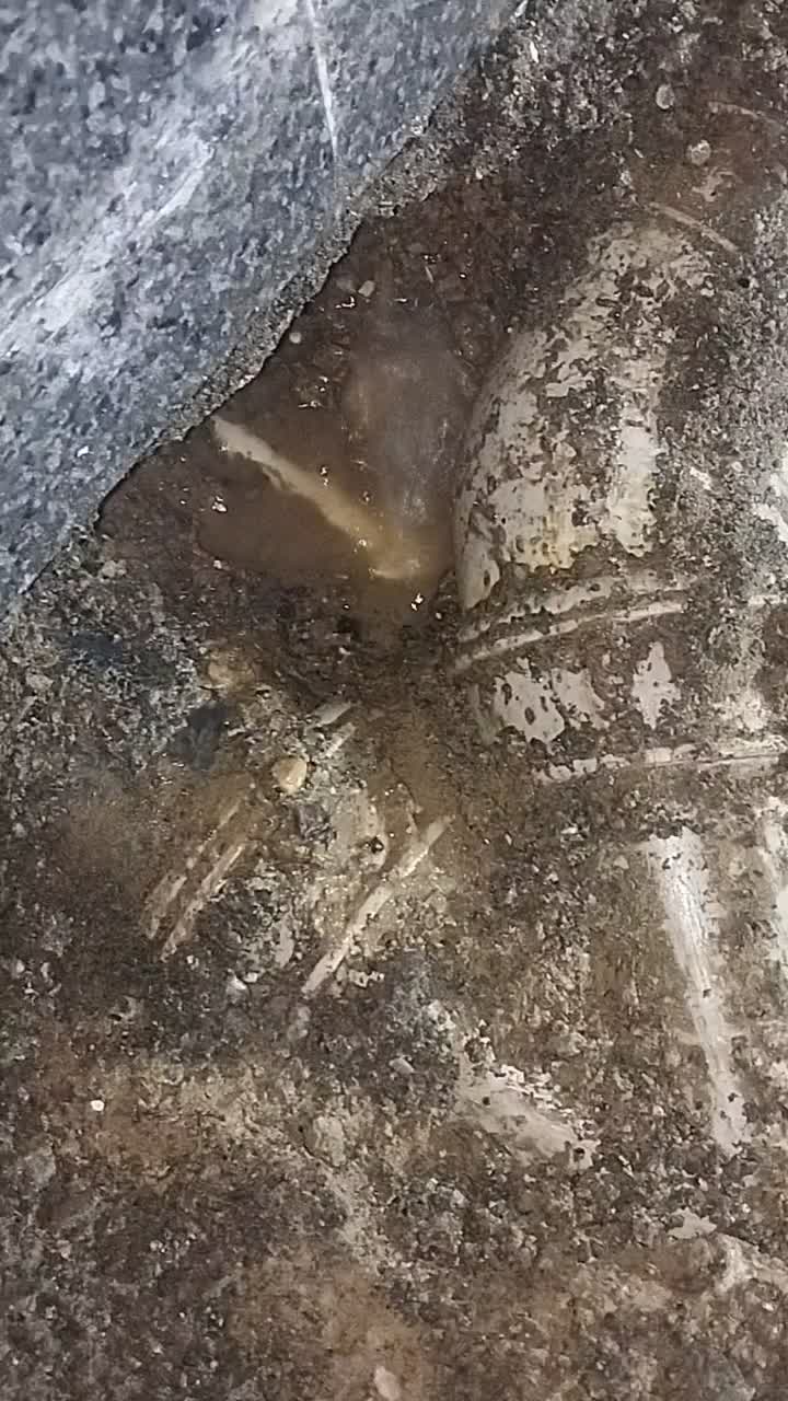 نشت‌یابی تخصصی لوله اب با دستگاه دیجیتال لوله کش|خدمات پیشه و مهارت|بندرعباس, |دیوار