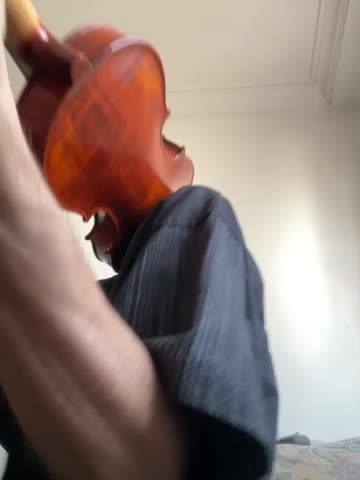 ویولن guarneri-h32-copy ساخت ایتالیا|ویولن|رشت, کاکتوس|دیوار