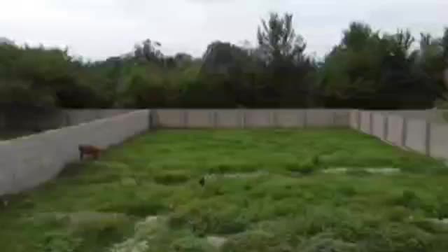 فروش زمین مسکونی در جاده ماسوله|فروش زمین و ملک کلنگی|ماکلوان, |دیوار