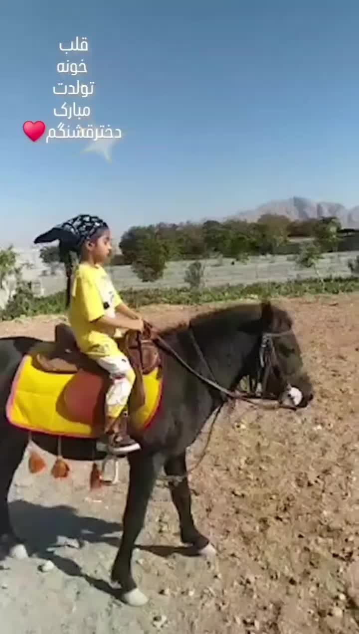 اسب پونی مخصوص کودکان|اسب و تجهیزات اسب‌سواری|اصفهان, کارخانه قند اصفهان|دیوار