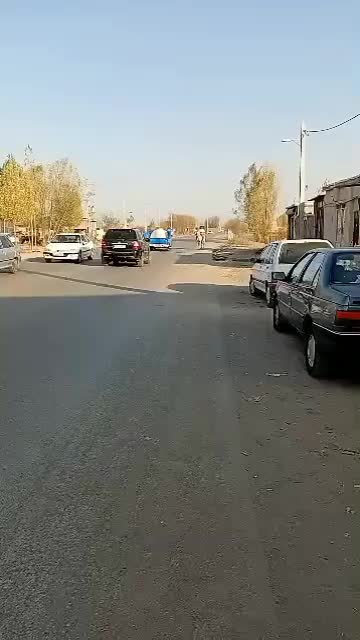 باسلام اسب نریان سواری عالی|اسب و تجهیزات اسب‌سواری|اردبیل, |دیوار