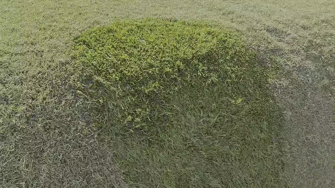 فروش ویژه چمن مصنوعی دست دوم (استوک)|خدمات باغبانی و درختکاری|تهران, نعمت‌آباد|دیوار