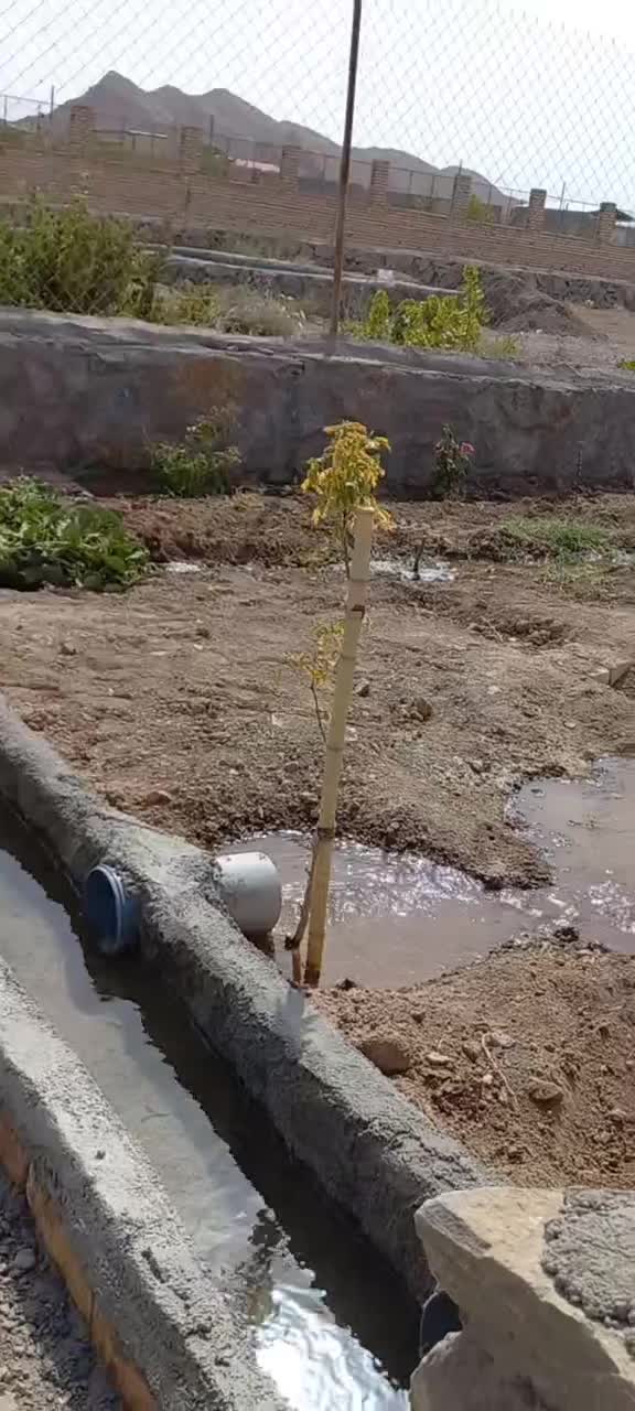 باغچه  حدودا ۲۰۰ متری در رو ستای شاه ابراهیم سیرو|فروش زمین و ملک کلنگی|قم, شاه ابراهیم|دیوار