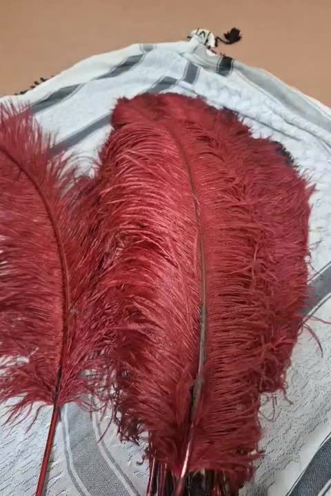 پر علم یا همون علامت|کلکسیون و سرگرمی|مشهد, رده|دیوار