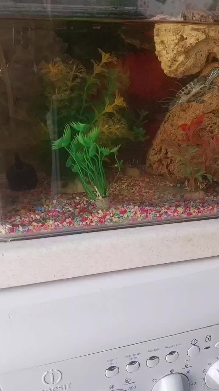 سه تا اکواریوم|ماهی|مشهد, کوثر|دیوار