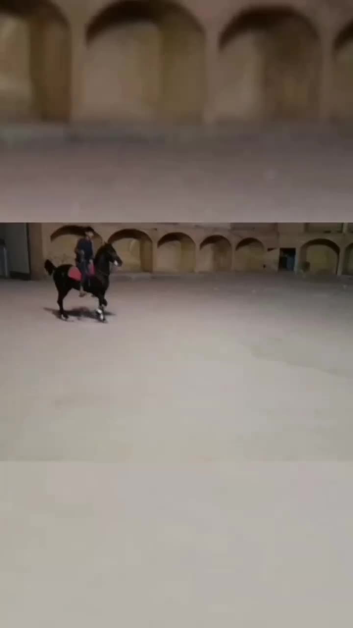 سیلمی سواری دار کرد جوان|اسب و تجهیزات اسب‌سواری|بستان آباد, |دیوار