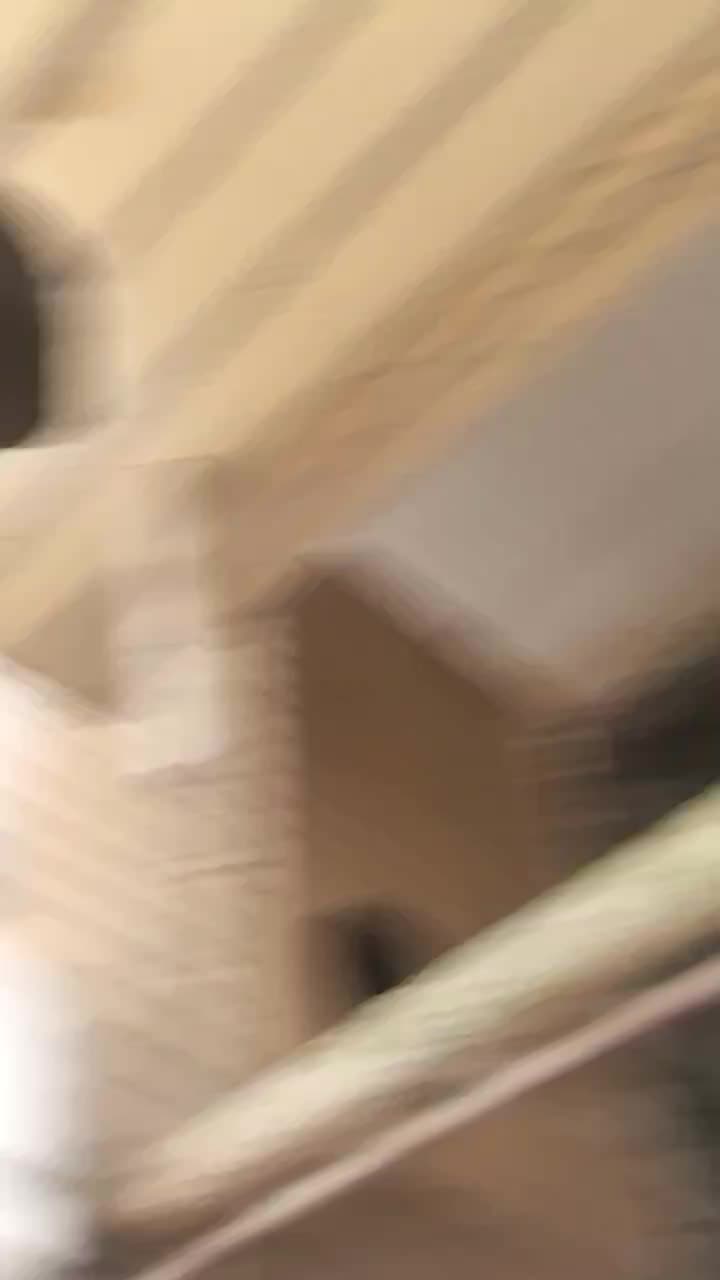 عروس مولد به شرط|پرنده|تهران, درکه|دیوار