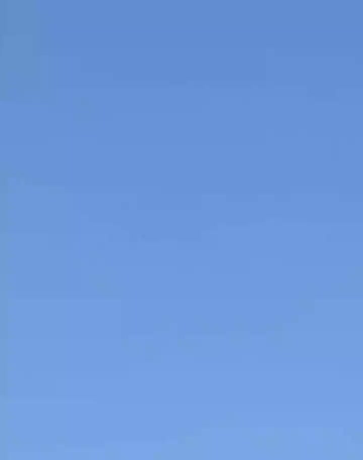 کبوتر پرشی|پرنده|نوکنده, |دیوار