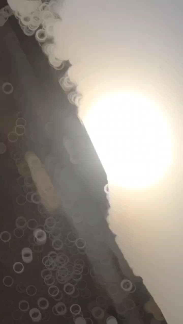 کره مادیان 1ساله دم گیر پرخون|اسب و تجهیزات اسبسواری|بهبهان, |دیوار