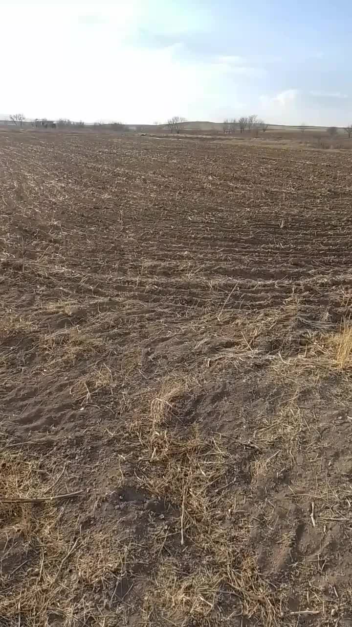 فروش باغ|فروش زمین و ملک کلنگی|صالح آباد, |دیوار