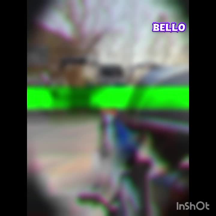 هوندا۱۲۵|موتورسیکلت|آستانه اشرفیه, |دیوار