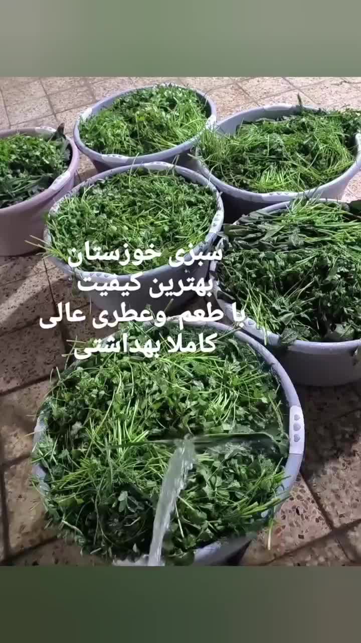 سبزی پخته خوزستان|خوردنی و آشامیدنی|فولادشهر, مسکن مهر فولادشهر|دیوار