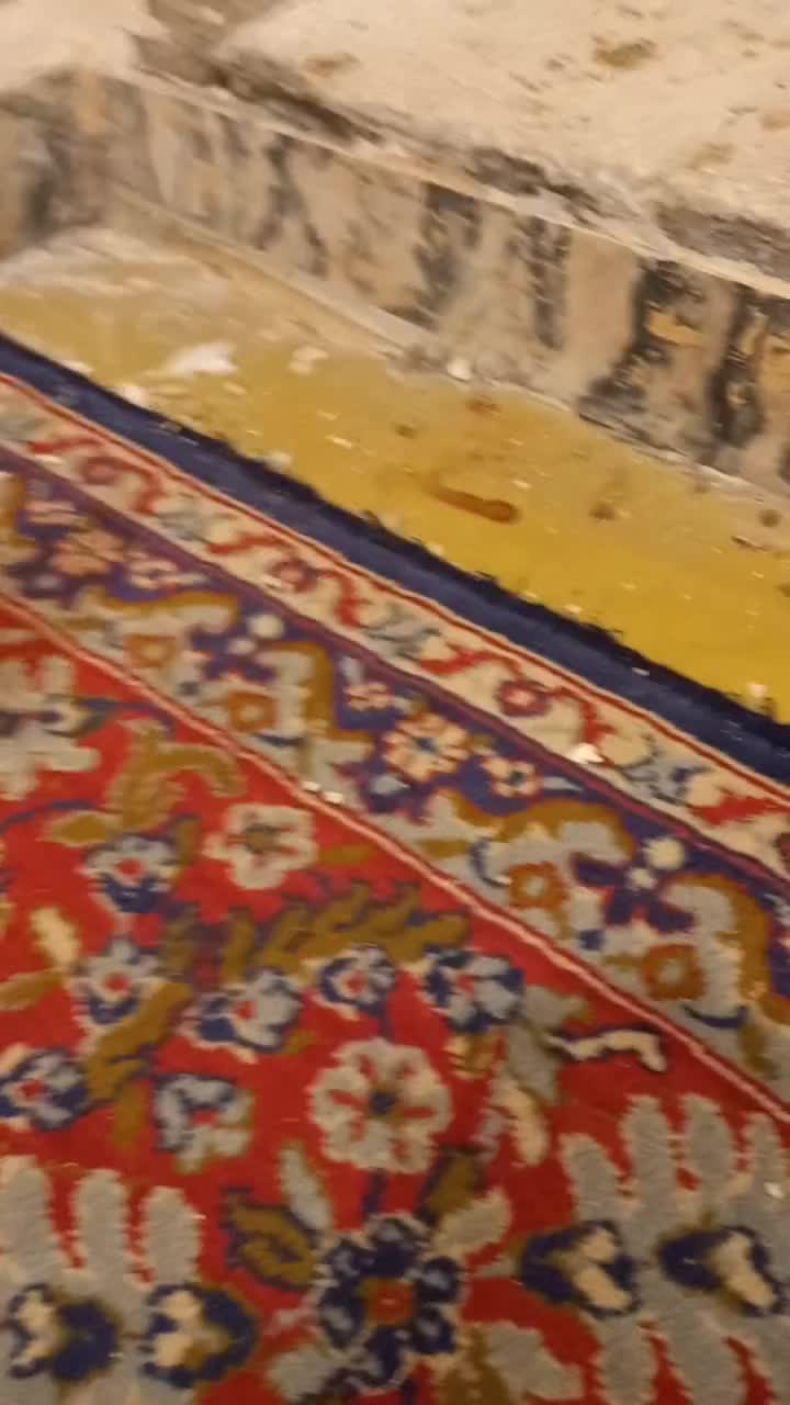 دو جفت طوقی عروسک|پرنده|اهواز, کوی طلاب|دیوار