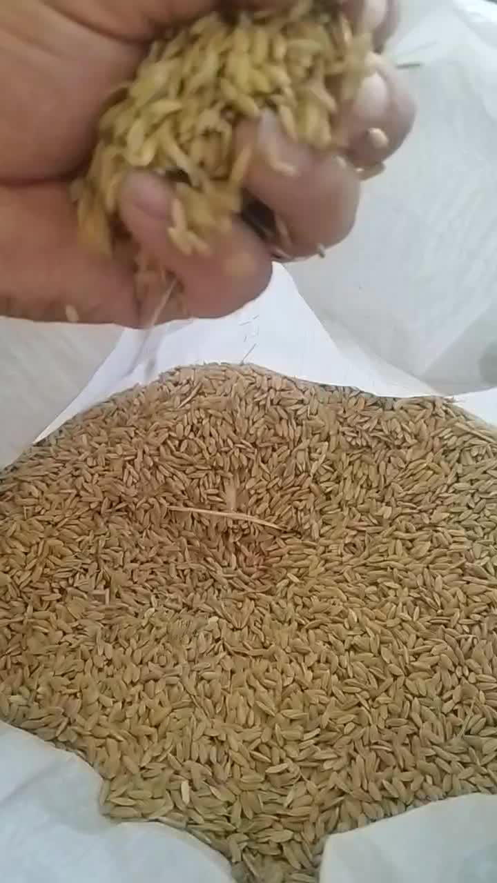 فروش چلتیک|خدمات باغبانی و درختکاری|سیدان, |دیوار