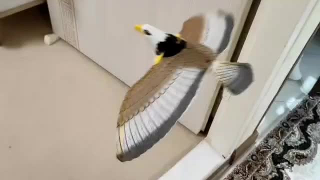اسباب بازی|اسباب‌بازی بچه|شیراز, معالی‌آباد|دیوار